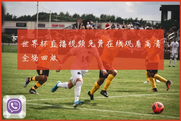 世界杯直播视频免费在线观看高清全场回放